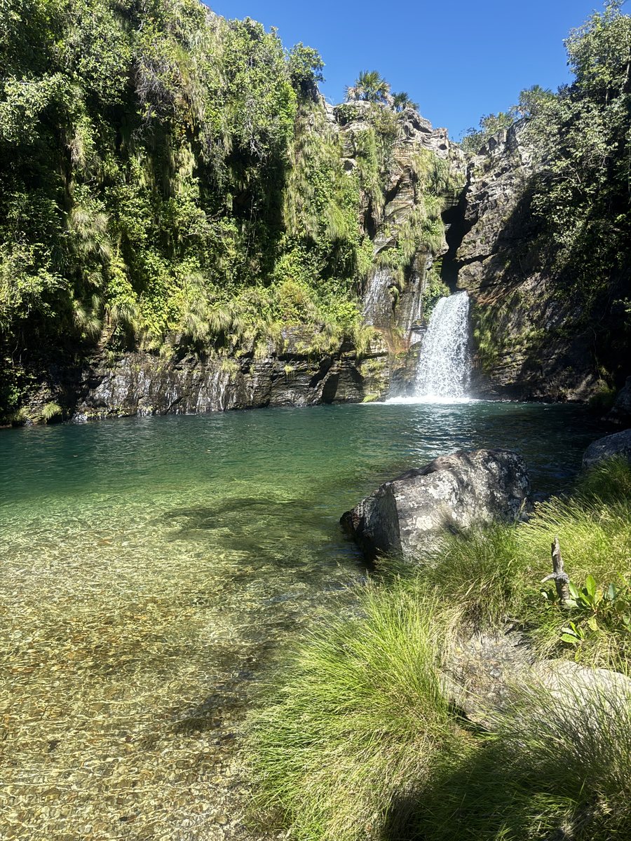 Cachoeira e poço esmeralda cercados de mata