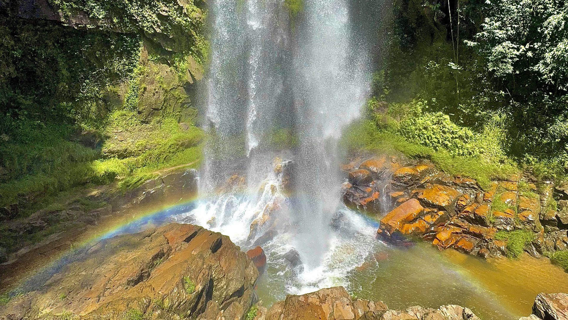 Cachoeira altíssima despencando de um paredão de mais de cem metros na Chapada dos Veadeiros, cercada de mata do cerrado